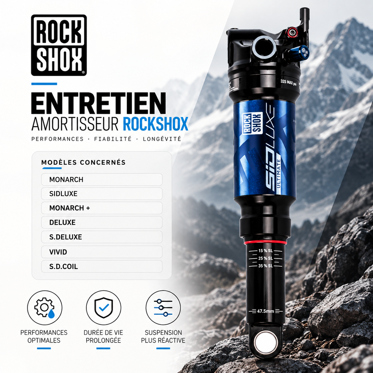 ENTRETIEN AMORTISSEUR ROCK SHOX